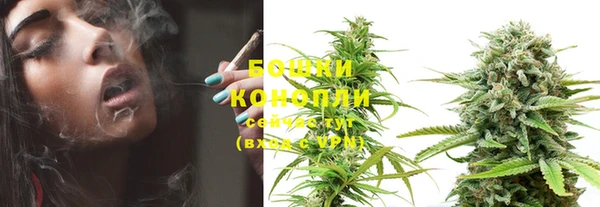 MESCALINE Новозыбков