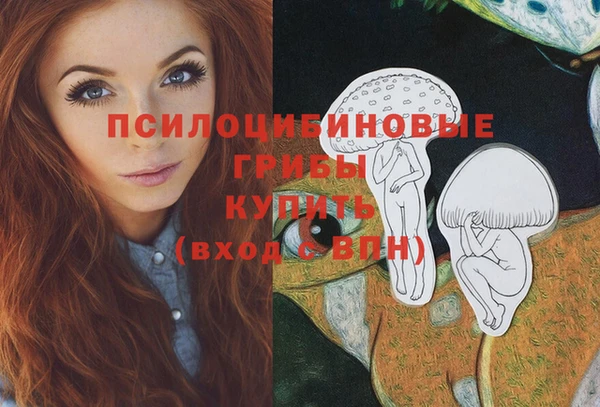 ГАЛЛЮЦИНОГЕННЫЕ ГРИБЫ Болхов
