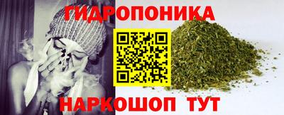2c-b Камышлов