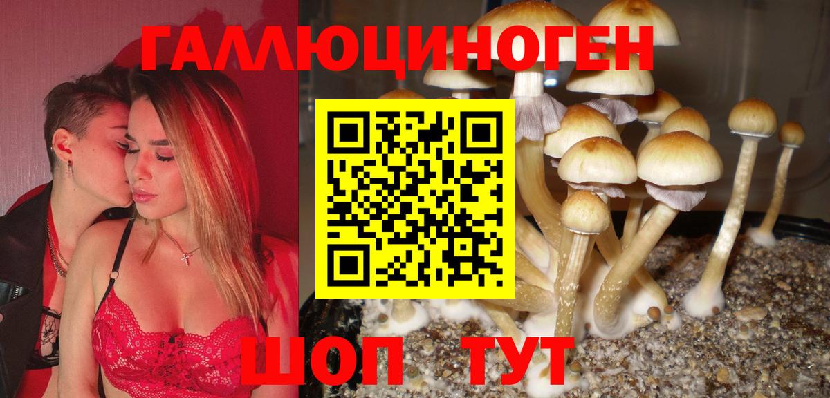 Мегион  Псилоцибиновые грибы мухоморы  Вход с VPN 